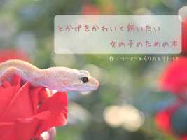 トカゲ