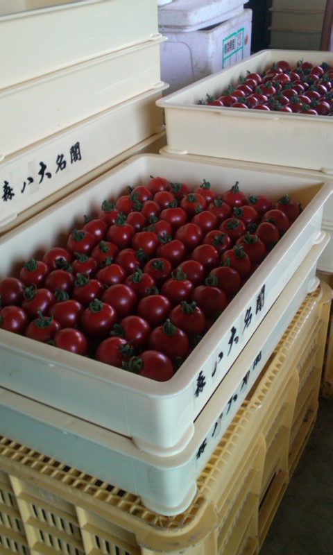 mini_120709_1208.jpg