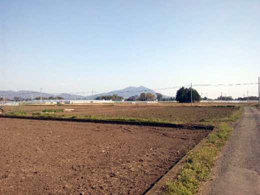 sanpo1.JPG