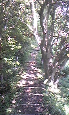 DVC00082.JPG