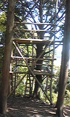 DVC00078.JPG