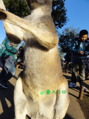 ¥¢¥«¥«¥ó¥¬¥ë¡¼¡ê£±
