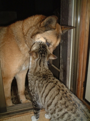 お帰りなさいのチュ