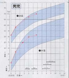 発育曲線