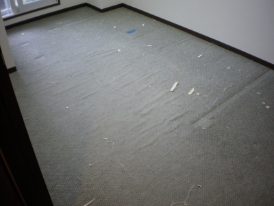 20110212Ä¥ÂØÁ°