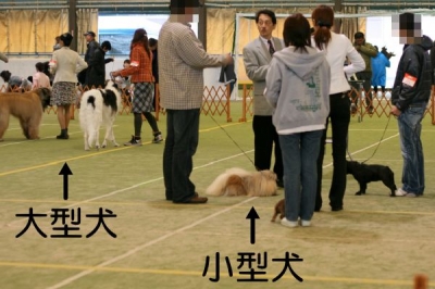 講習会