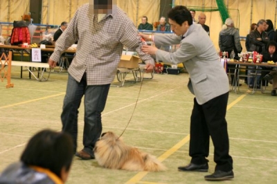 講習会