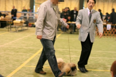 講習会
