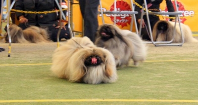 空豆&スーモ君