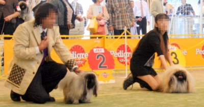 ジュニアクラスのWinnerと空豆