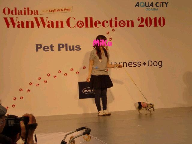 ¥Õ¥¡¥¤¥ë0013.jpg