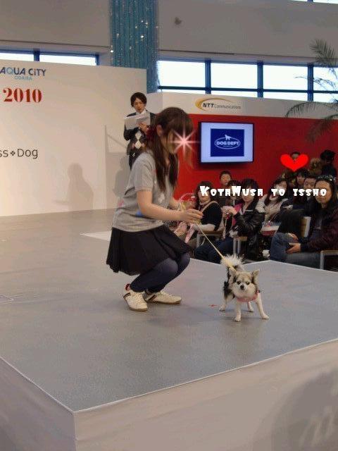 ¥Õ¥¡¥¤¥ë0022.jpg