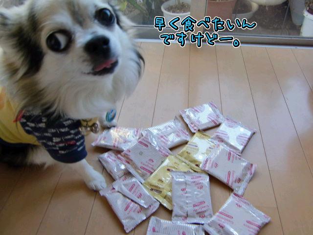 ¥Õ¥¡¥¤¥ë0013.jpg