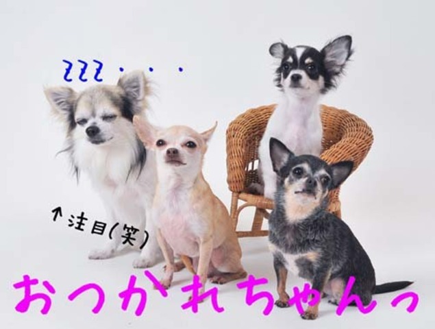 ¥Õ¥¡¥¤¥ë0010.jpg