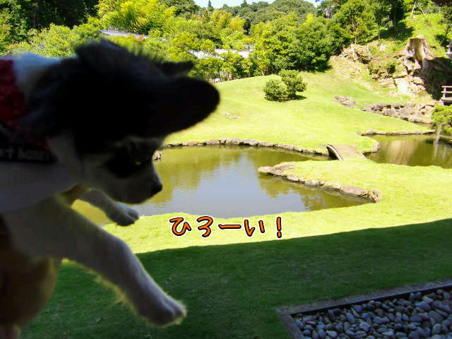 ¥Õ¥¡¥¤¥ë0019.jpg