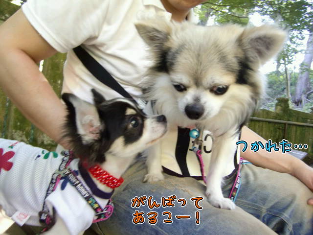 ¥Õ¥¡¥¤¥ë0019.jpg