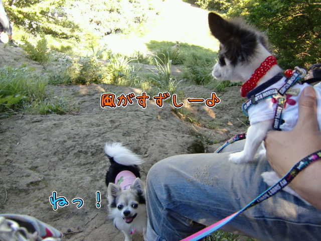 ¥Õ¥¡¥¤¥ë0013.jpg