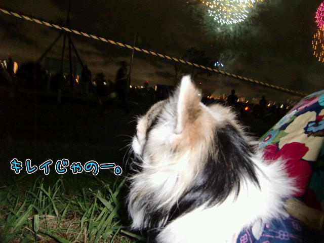 ¥Õ¥¡¥¤¥ë0011.jpg