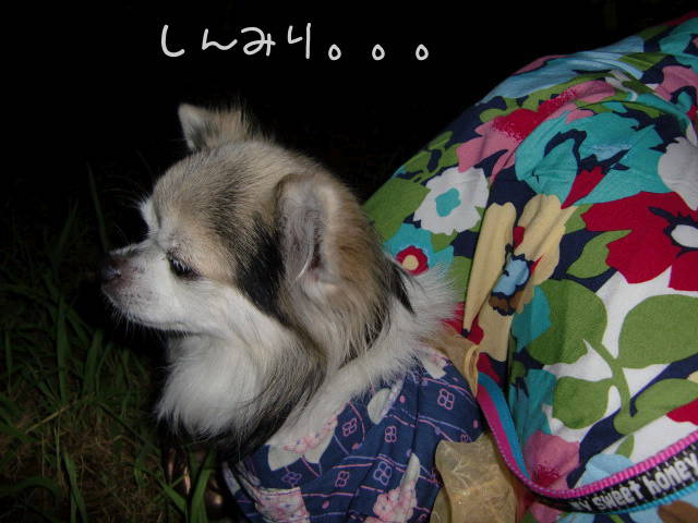 ¥Õ¥¡¥¤¥ë0021.jpg