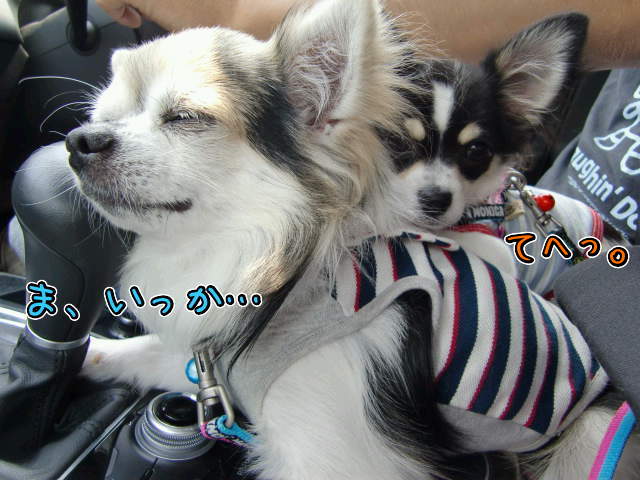 ¥Õ¥¡¥¤¥ë0013.jpg