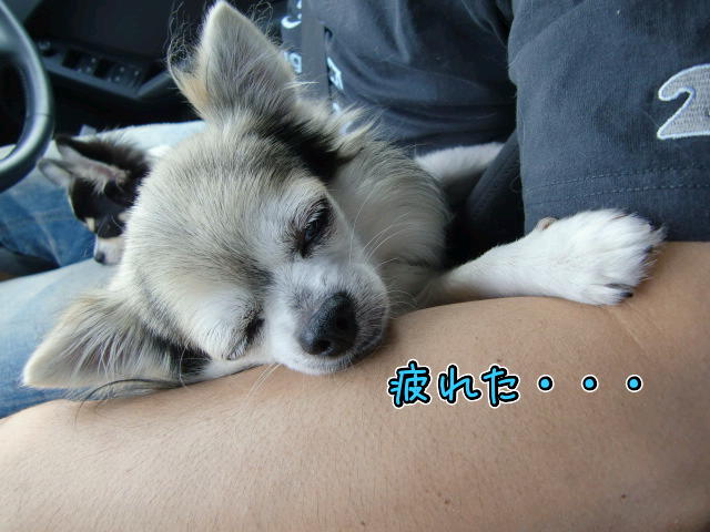 ¥Õ¥¡¥¤¥ë0020.jpg