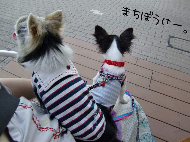 ¥Õ¥¡¥¤¥ë0013.jpg