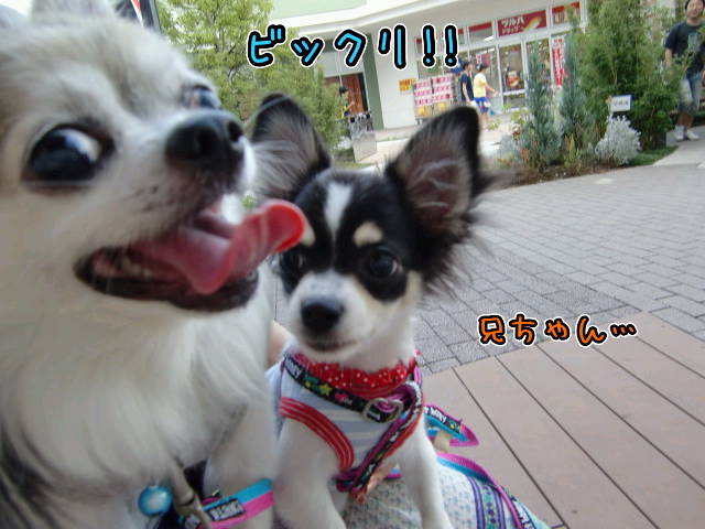 ¥Õ¥¡¥¤¥ë0020.jpg