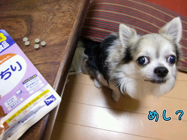 ¥Õ¥¡¥¤¥ë0019.jpg