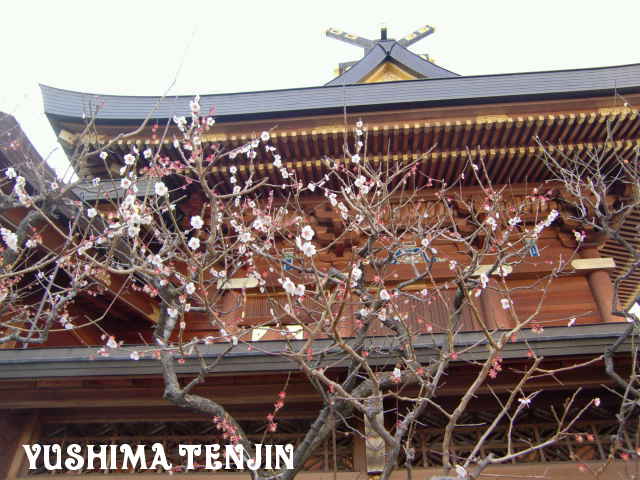 ¥Õ¥¡¥¤¥ë0015.jpg