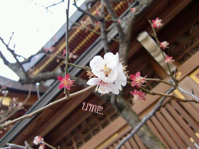 ¥Õ¥¡¥¤¥ë0018.jpg