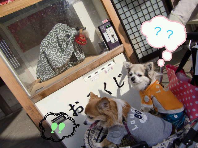 ¥Õ¥¡¥¤¥ë0008.jpg