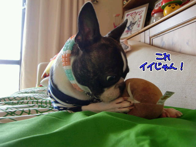 ¥Õ¥¡¥¤¥ë0011.jpg