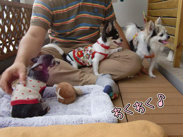¥Õ¥¡¥¤¥ë0020.jpg