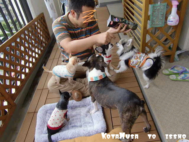 ¥Õ¥¡¥¤¥ë0021.jpg