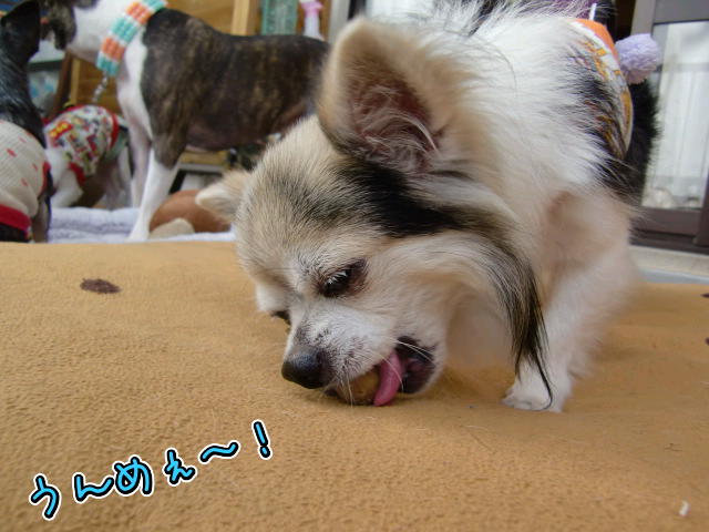 ¥Õ¥¡¥¤¥ë0022.jpg