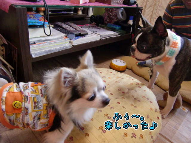 ¥Õ¥¡¥¤¥ë0010.jpg