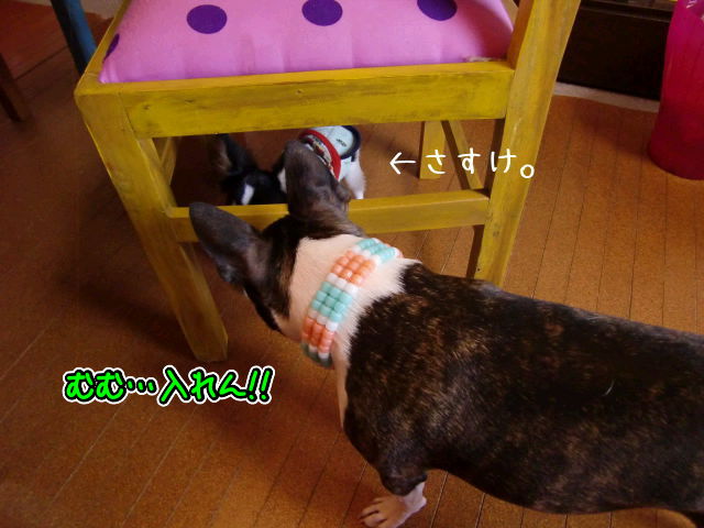 ¥Õ¥¡¥¤¥ë0011.jpg