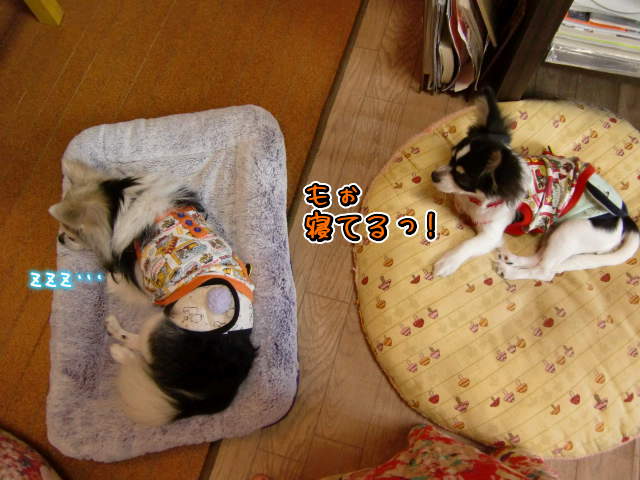 ¥Õ¥¡¥¤¥ë0022.jpg