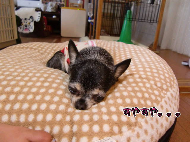 ¥Õ¥¡¥¤¥ë0021.jpg