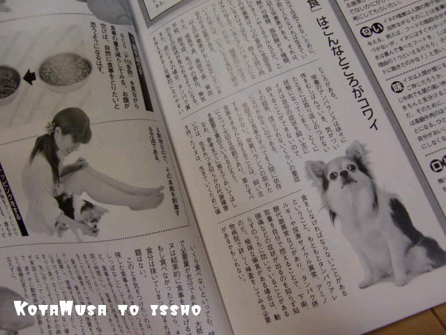 ¥Õ¥¡¥¤¥ë0020.jpg