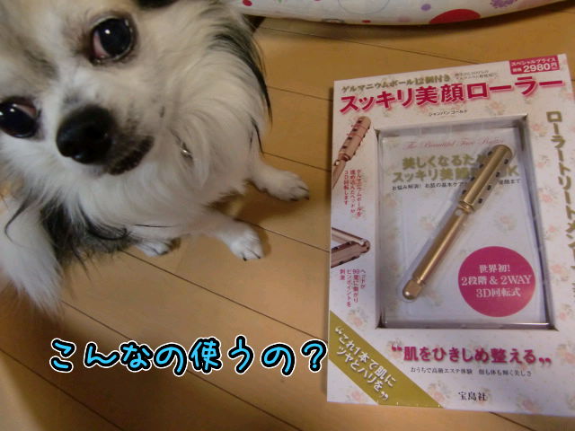 ¥Õ¥¡¥¤¥ë0010.jpg
