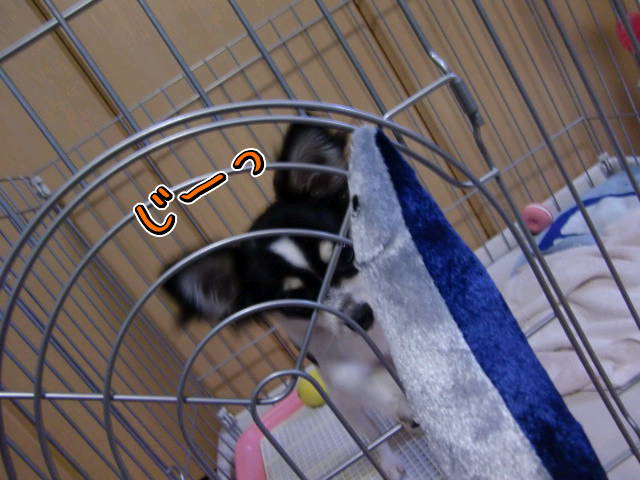 ¥Õ¥¡¥¤¥ë0011.jpg
