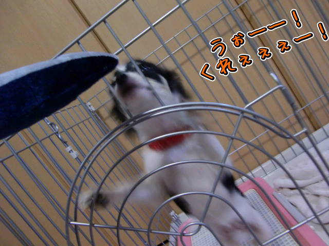 ¥Õ¥¡¥¤¥ë0013.jpg