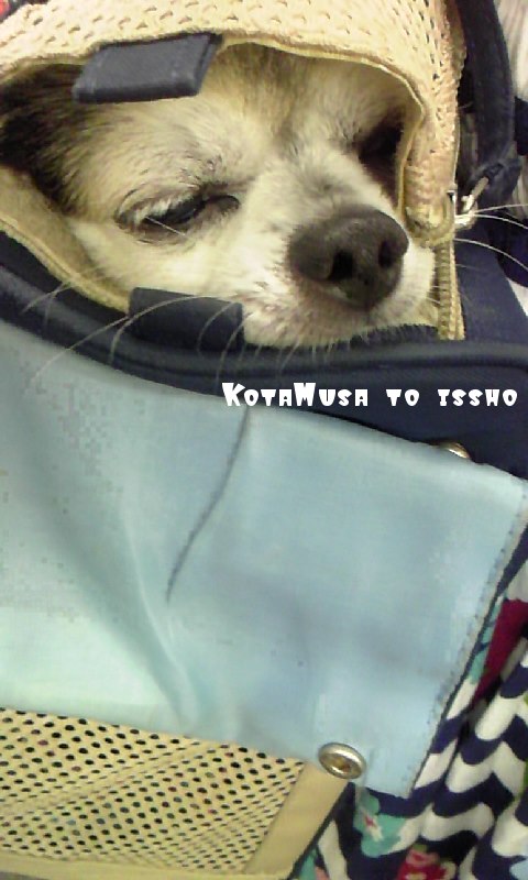 ¥Õ¥¡¥¤¥ë0010.jpg