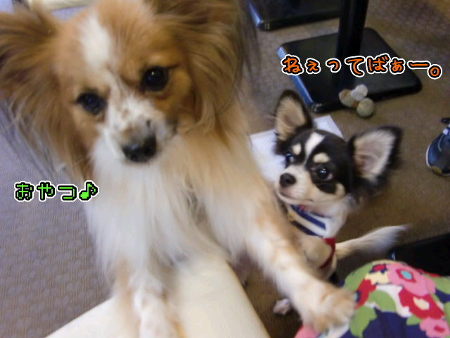 ¥Õ¥¡¥¤¥ë0010.jpg