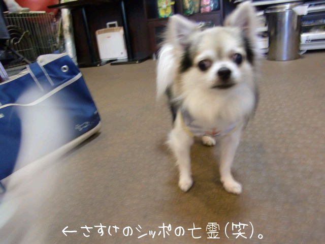 ¥Õ¥¡¥¤¥ë0010.jpg