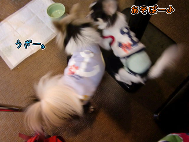 ¥Õ¥¡¥¤¥ë0011.jpg