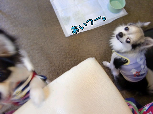 ¥Õ¥¡¥¤¥ë0013.jpg