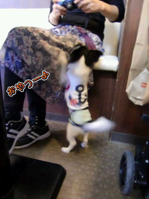 ¥Õ¥¡¥¤¥ë0019.jpg