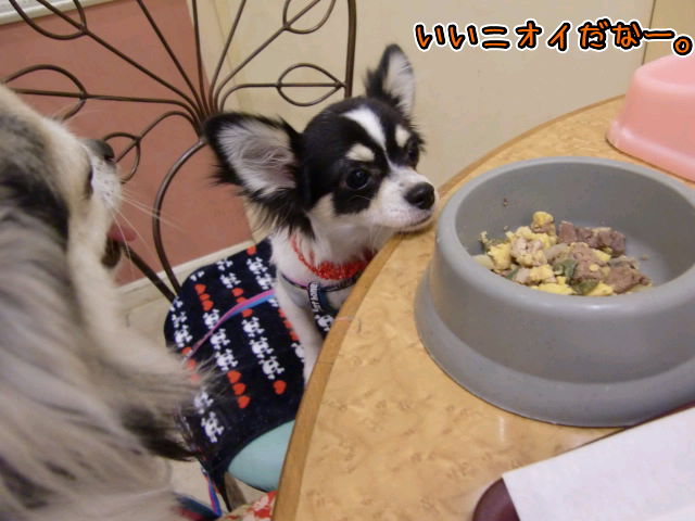 ¥Õ¥¡¥¤¥ë0025.jpg